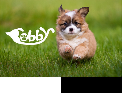 Bobby branding icon logo vector