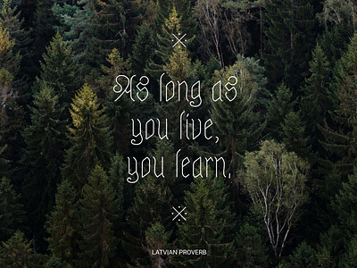 Weekly warmup//As long as you live, you learn