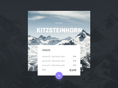 DailyUI 046 - Invoice dailyui invoice mountain ski snowboard ticket