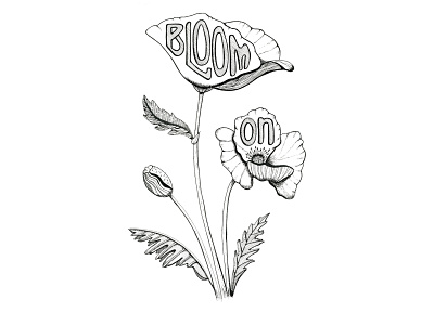 Bloom On bloom on design graphic design hand drawn hand lettered hand lettering illustration lettered phrase pacific northwest pen and ink pnw poppies poppy flower typography