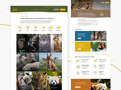 Zooparc de Beauval art direction icon illustration ui design zoo