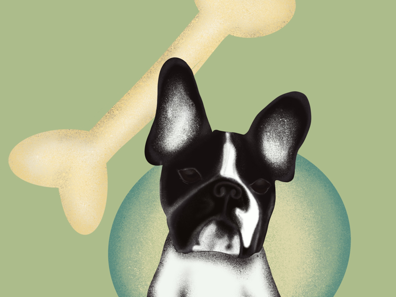 Buddy spray brush painting illustrator illustration drawing procreate apple apple pencil ipad pro