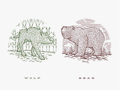 Wolf & Bear animal bear illustration wolf wood