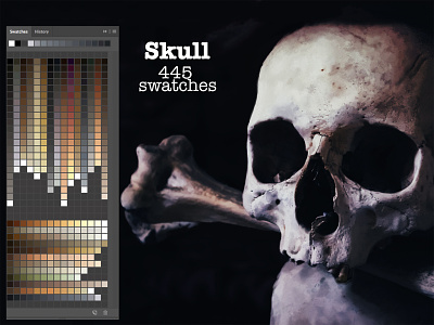 Skull Swatches artistic bones colorful creepy dark death design evil horror human skull illustrator palette photoshop skull skull and crossbones swatches