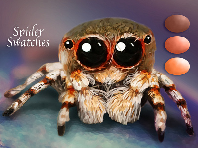 Spider Swatches arachnid big eyes cute cute monster macro monster nature palettes spider swatches