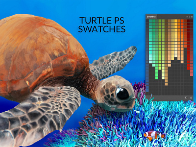 Turtle Swatches & Coral Overlays abstract artistic cinema 4d render colorful colors coral creative cute cute animal cute art design illustration ninja octane palette photoshop swatches turtle turtles vibrance