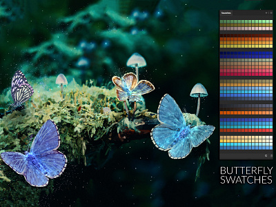 Butterfly Swatches artistic butterflies colorful creative design fireflies illustration photoshop ps ps swatches swatches