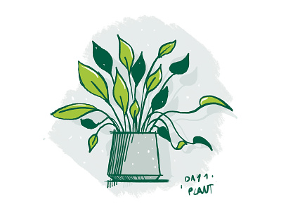 Procreate sketching practise: Day 1 plant procreate