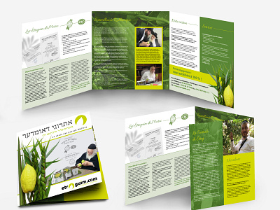 Etroguim brochure brochure design