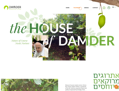 DAMDER.com art direction branding design shopify ui ux webdesign webdevelopment
