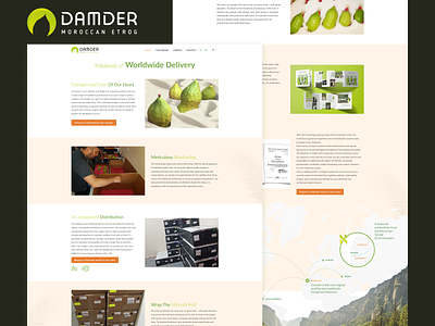 Damder branding design logo shopify ui ux webdesign webdevelopment