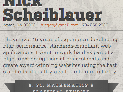 Scheiblauer resume clean minimal resume typography web design website