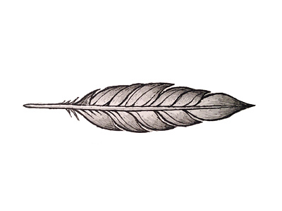 Feather Sketch bird feather ink pen pencil tattoo