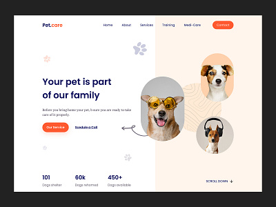 Pet landing page app deign application design design graphic design home page landing page ui website website design