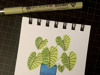 Day 4: philodendron