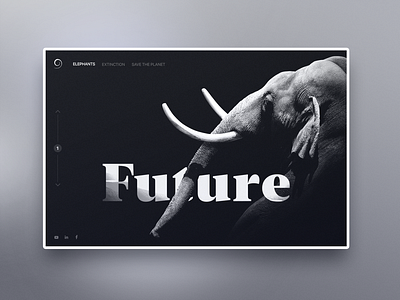 Future Elephant Web Design