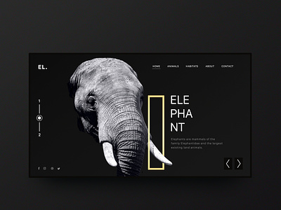 Elephant Minimal Inspiration Web Design