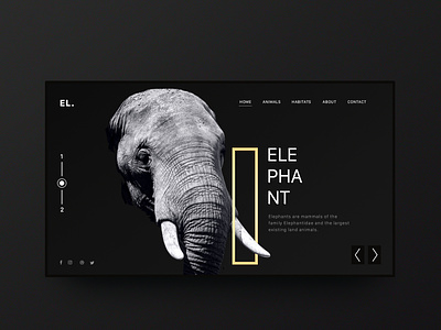 Elephant Minimal Inspiration Web Design