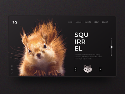 Squirrel Inspiration Web Design