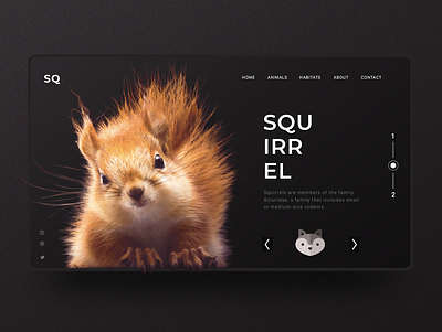 Squirrel Inspiration Web Design designinspiration inspiration interaction interactiondesign ui uidesign uitrends ux uxdesign web