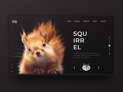 Squirrel Inspiration Web Design