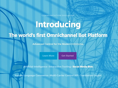 AI Web Introduction carrier chatbot omnichannel website