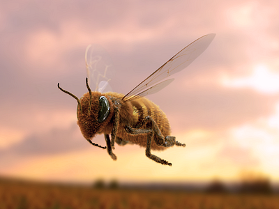 Honeybee Flying 3dsmax animal bee corona flower flowers flyer hairfarm honeybee insect nature