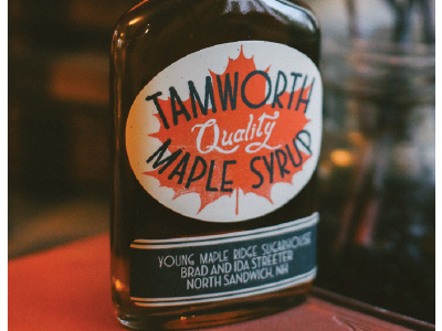 TAMWORTH MAPLE SYRUP bottle design graphic maple syrup tamworth