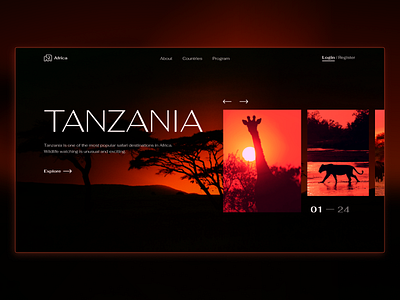 Tanzania africa animals color concept design minimal ui ux web