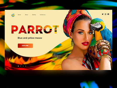 Parrot beautiful color concept creative design design minimal parrot ui web website