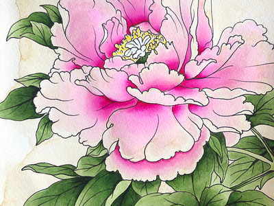 Japanese Style Peony flower japanese peony watercolor