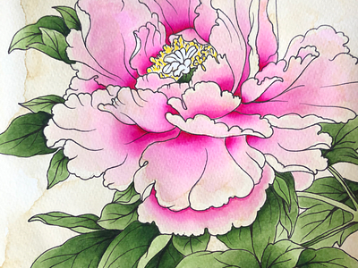 Japanese Style Peony