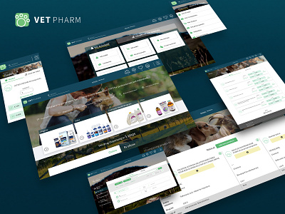 Vet Pharm Case design django e commerce illustration pharmacy web webdevelopment website