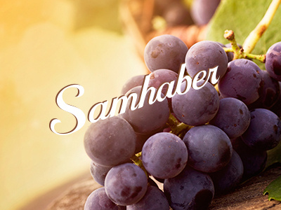 Samhaber Fruit Shop Logo fruit fruity logo type