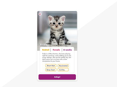 Daily UI Challenge #006 - Profile app design daily daily challenge dailyui dailyui 006 pet pet adoption pet app profile ui daily ui deisgn uidailychallenge