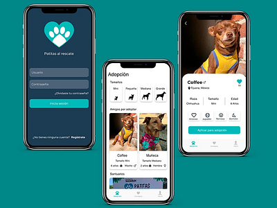 App for adopt dogs