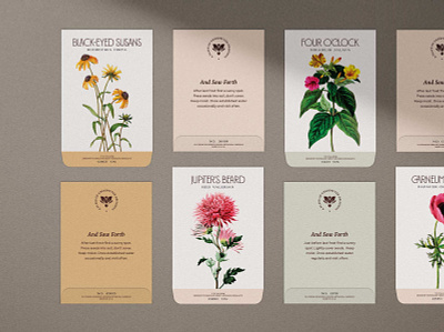 Cliffrose Seed Packets brand identity branding cliffrose flowers hotel packaging typography zion national park