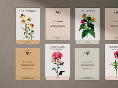 Cliffrose Seed Packets brand identity branding cliffrose flowers hotel packaging typography zion national park