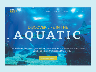 Aquarium Landing Page design figma figmaafrica figmadesign landing page landing page design web website