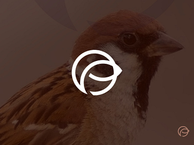 The sparrow brand and identity design graphic design icon logo mark minimalistic logo symbol design vector