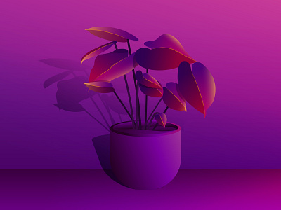 Plant and Shade colors design digitalartist dribbble illustration nature illustration purple gradient shades vector vector illustration