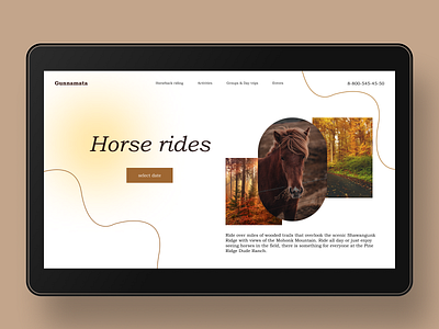 Landing page Horse rides concept landingpage minimal ui user interface ux webdesign webdesigner website website design