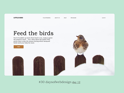 Feed the birds concept landingpage minimal ui user interface ux webdesign webdesigner website website design
