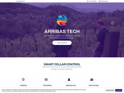 Arribas Tech branding clean creative design modern web wine