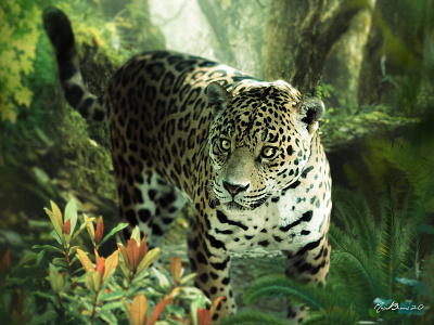 Leopard 3d 3d art animal art c4d c4dfordesigners cinema4d color colors design designer leopard shapes