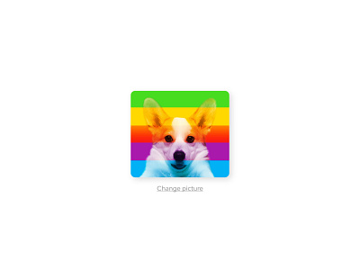 Daily post 88 avatar dog rainbow ui uidaily uidaily88 uidailychallenge uidesign uidesigner uiinspiration