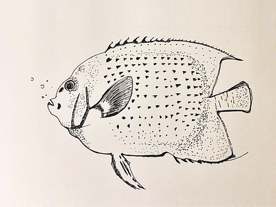 freehand pen sketch_fish pen sketch