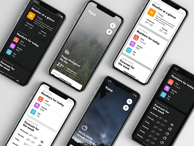 Vane app for iOS app application iphone vane weather