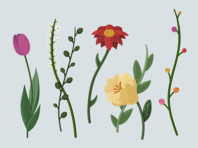 Garden floral illustration illustrator