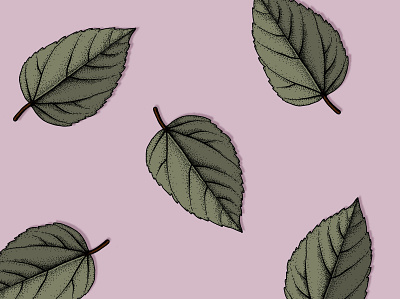 Leaves on Purple botanical illustration design illustration illustrator